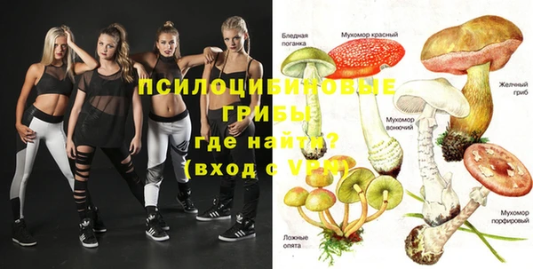 спиды Козловка