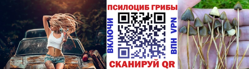 Галлюциногенные грибы Cubensis  Среднеколымск 